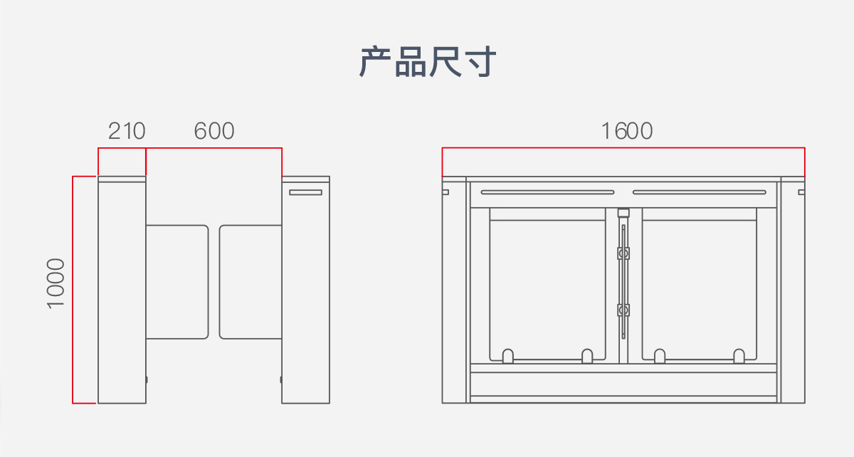 豪华摆闸1.jpg